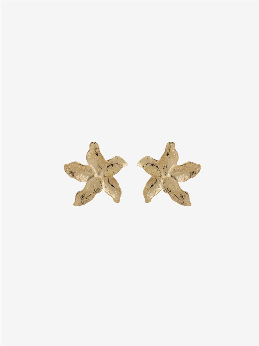 Starfish earrings